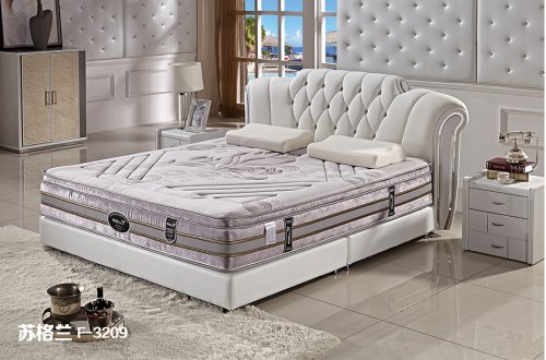 雅迪仙妮 采用高级灰...